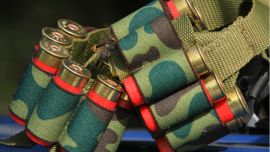 Perdiz en Tandil-079