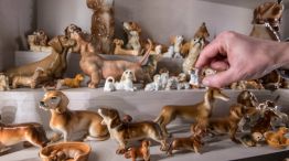 alemania museo de perros salchicha 20180406