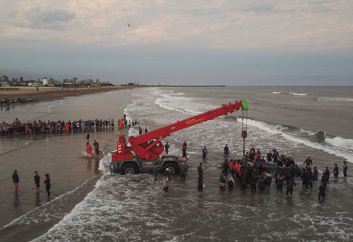 Socorristas y vecinos de la ciudad colaboraron con las tareas de rescate de la ballena jorobada que encalló en Punta Mogotes 