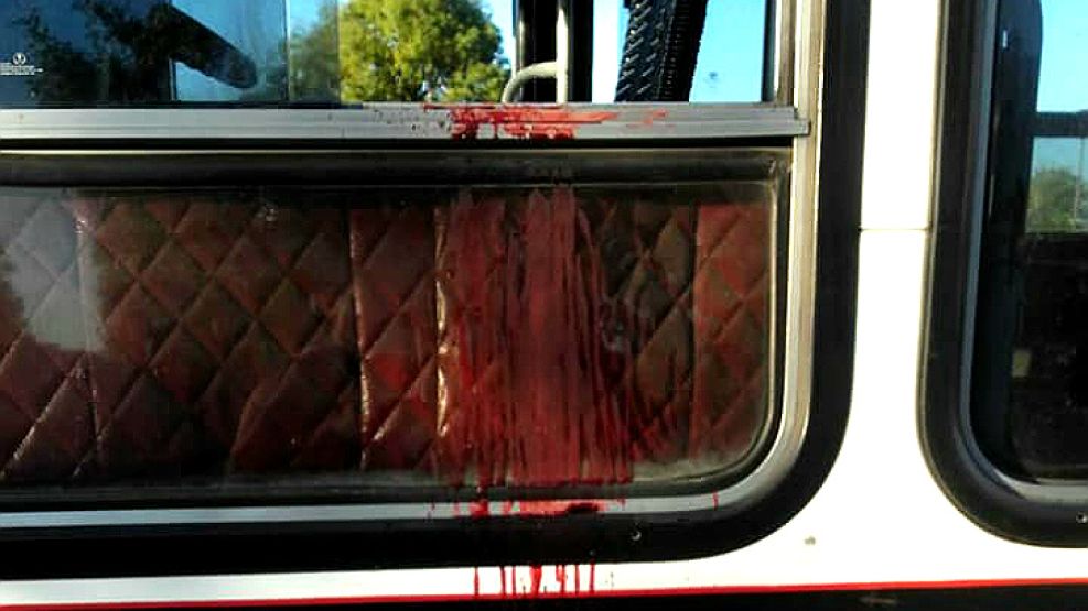 Así quedó el colectivo de la línea 620 tras el crimen del colectivero.