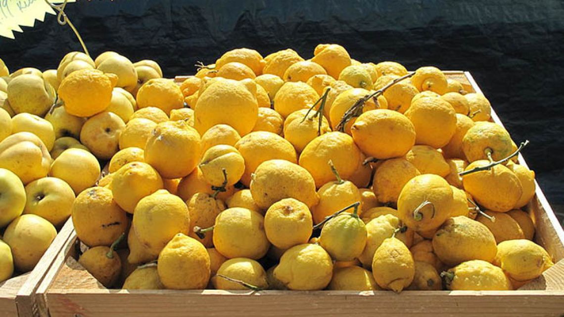 Tucumán province produces 90 percent of Argentina's lemons.