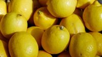 argentina limones eeuu 20180418