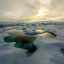 'Nowhere is immune' – Researchers find Microplastics in Arctic sea ice