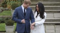 Curious little hand: Prince Harry and Meghan Markle still escaped the protocol