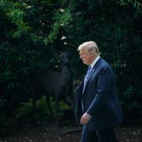 us-president-donald-trump-departs-for-walter-reed-national-military-medical-center