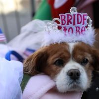 britain-us-royals-wedding