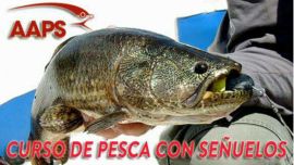 IMG-20180516-WA0066