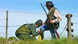 PERDIZ CON JOVENES=024