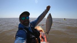 vlcsnap-2018-03-31-18h28m44s317