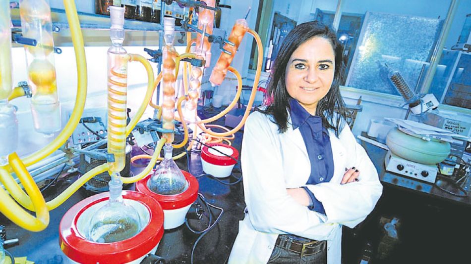 La investigadora del Conicet Claudia Anesini estudia desde 2006 las propiedades medicinales del extracto de jarilla.