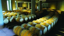 Cómo descubrir Mendoza a través de sus vinos