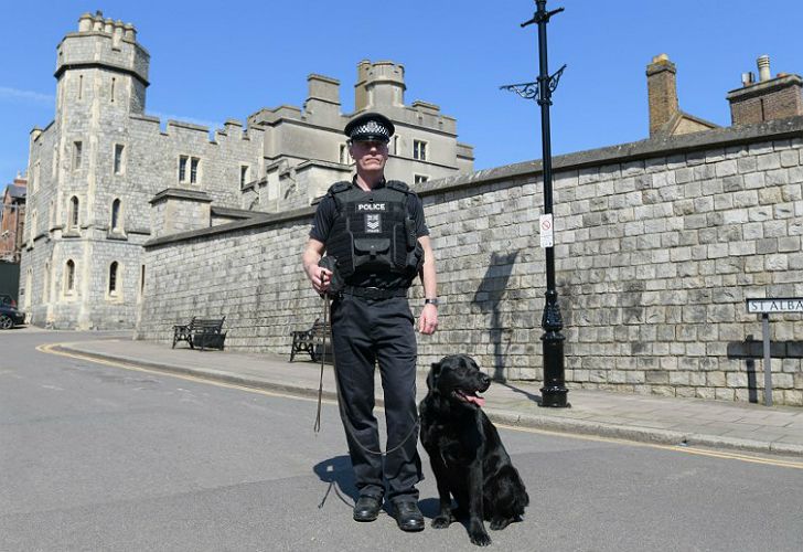 Castillo de Windsor: fue construido hace 1.000 años y es el castillo habitado más antiguo del mundo.