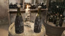 Las botellas de Vin Jaune, de 1774.