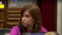 Cristina Fernández, en el debate de tarifas en el Senado.