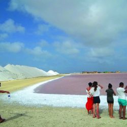 Salt Flats las salinas más populares de Bonaire
