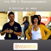 vicuna3