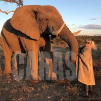 wandasafari5
