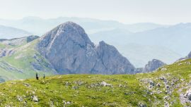 El_parque_nacional_S_57135740(1)