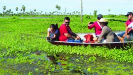 Yacaré en el Bañado La Estrella
