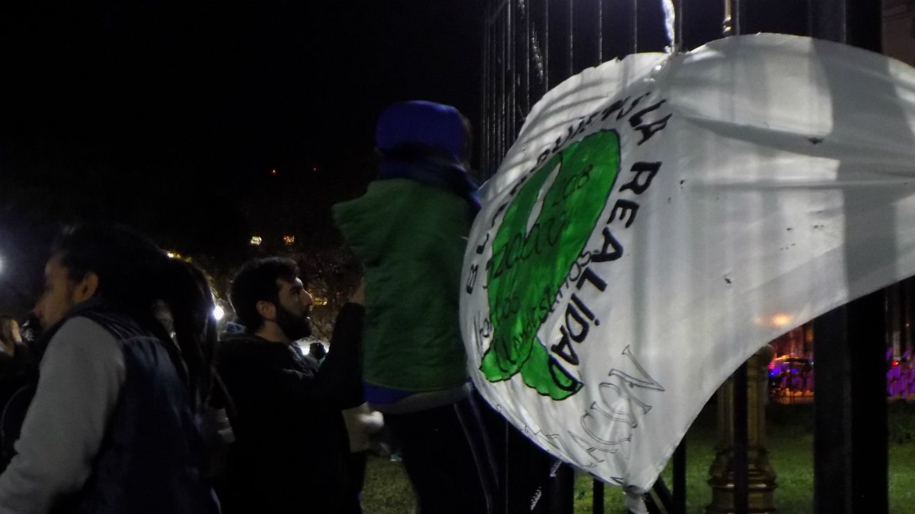 Frente al Congreso, en una fría y gris jornada, se levantaron pañuelos celestes y verdes a la espera de una decisión histórica de sus diputados.