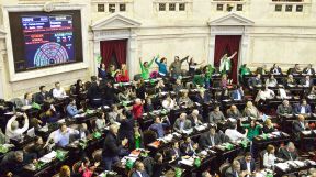 0624_diputados_aborto_cedoc_g.jpg