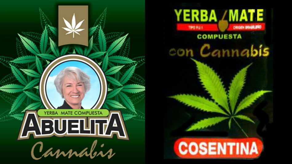 yerba uruguay cannabis 20180629