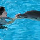 0721_Netflix_g04_Winter_El_Delfin