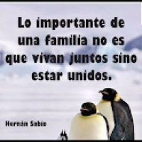 01nicolefrase