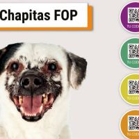 chapita