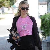 parishilton-36135933-194488864584784-5151342371337666560-n