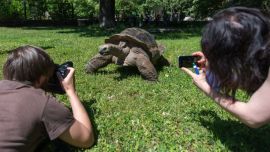 Para_fotografiar_ani_57809522