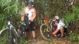 Refugio de la lluvia en cañaveral