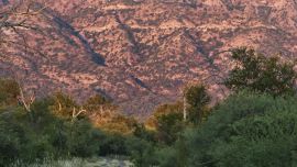 paisaje pinas pablo rodriguez merkel