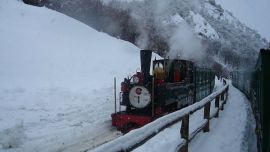 tren tierra del fuego