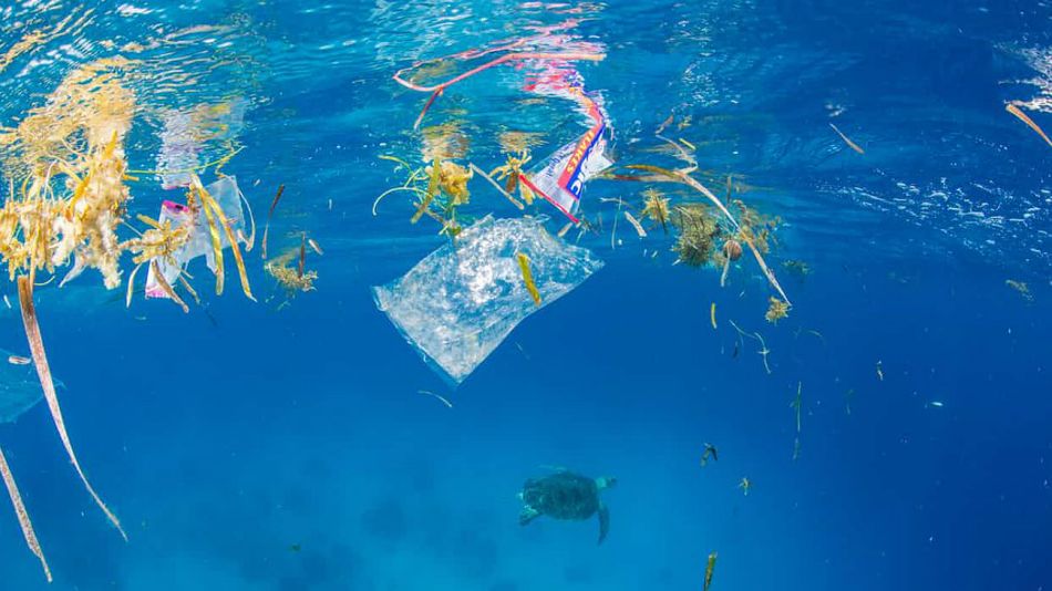 Se encontró plástico en el punto más alejado del Océano Pacífico.