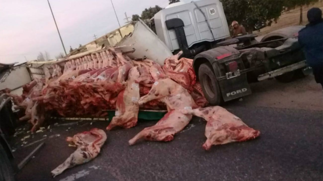 El vehículo perdió la carga y los vecinos le pidieron autorización al camionero para llevarse la carne.