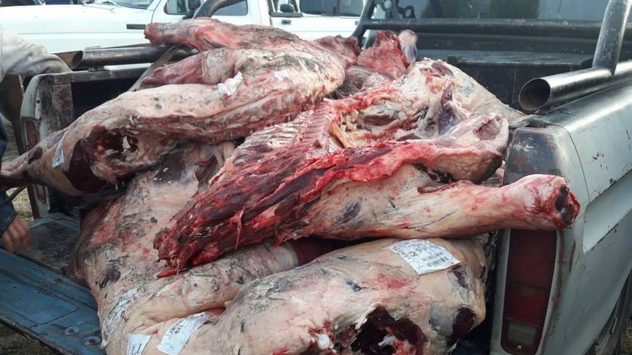 El vehículo perdió la carga y los vecinos le pidieron autorización al camionero para llevarse la carne.