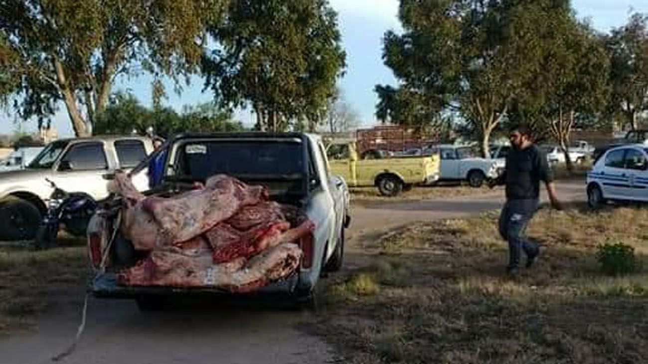 El vehículo perdió la carga y los vecinos le pidieron autorización al camionero para llevarse los animales.