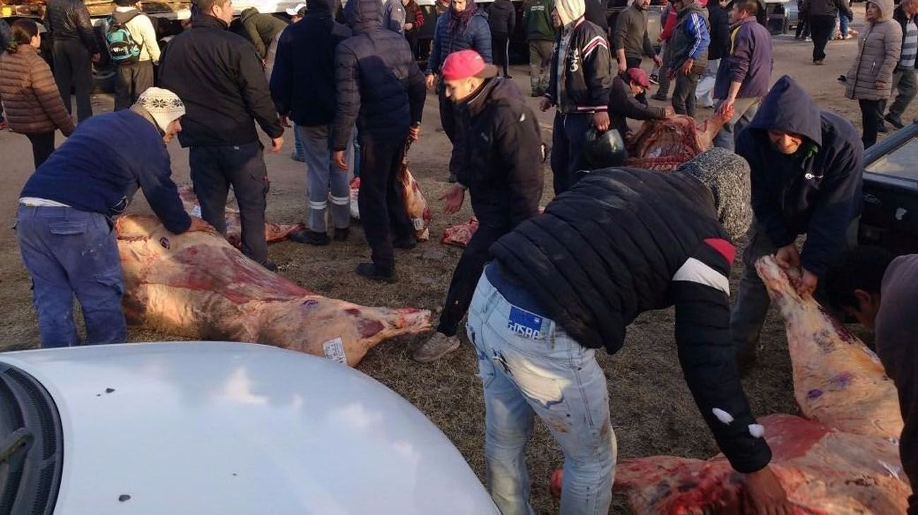 El vehículo perdió la carga y los vecinos le pidieron autorización al camionero para llevarse la carne.