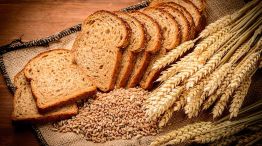 Pan de salvado y pan común