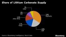 Share of Lithium Carbonate Supply