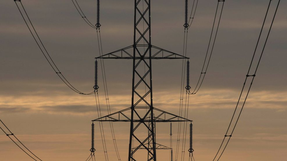 Germany Buys Stake in Electric Grid Operator to Block Chinese