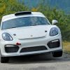 2-porsche-cayman-gt4-clubsport-1