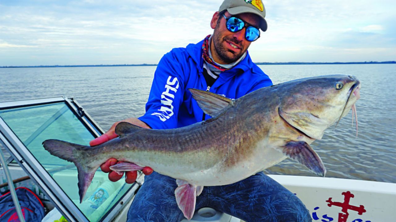 Pesca De Bagre De Mar Youtube Pesca De Bagre De Mar Youtube