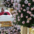 Aretha_Franklin (5)