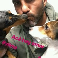 fabian-cubero-cuidando-perros3