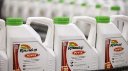 Bayer Drops After Monsanto Loses Verdict in Roundup Cancer Trial
