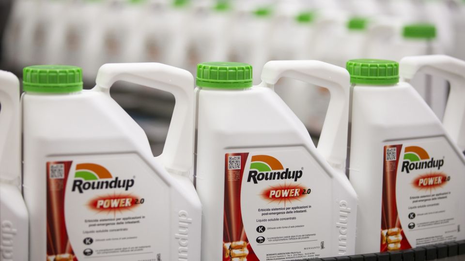 Bayer Drops After Monsanto Loses Verdict in Roundup Cancer Trial