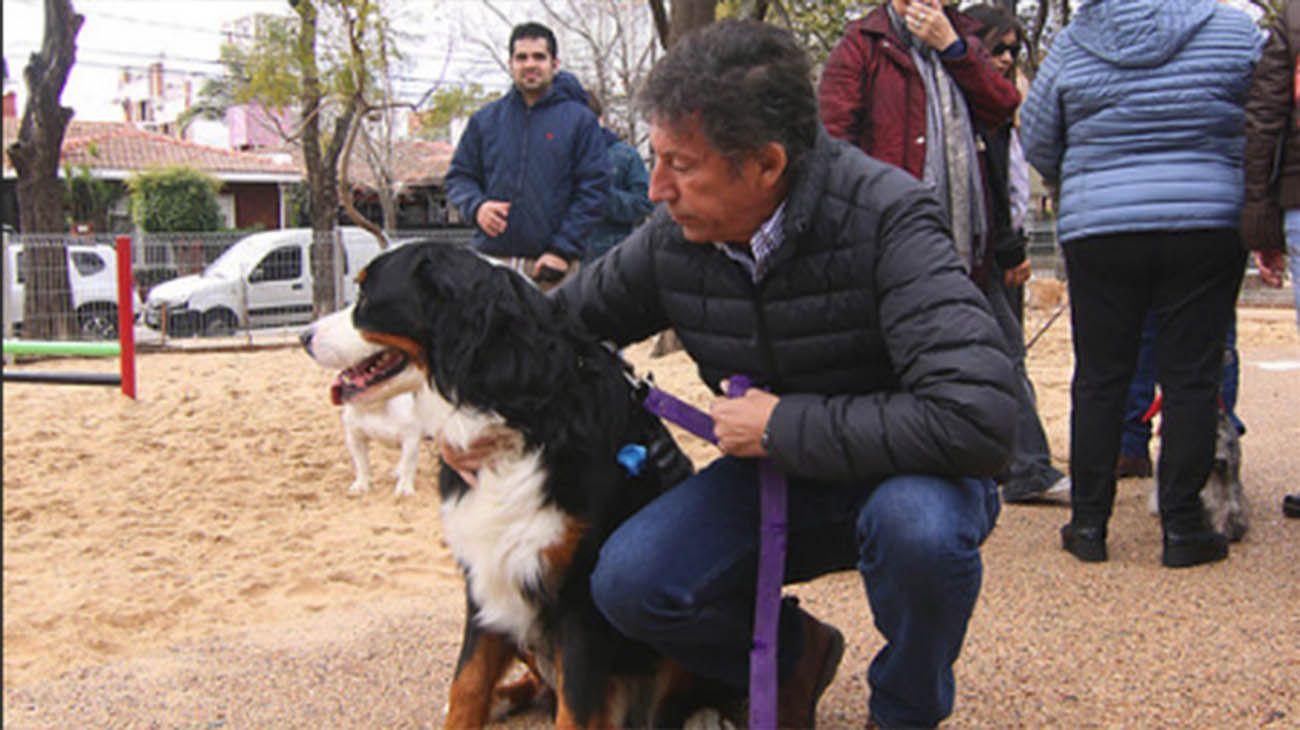 Nuevo canil en san isidro