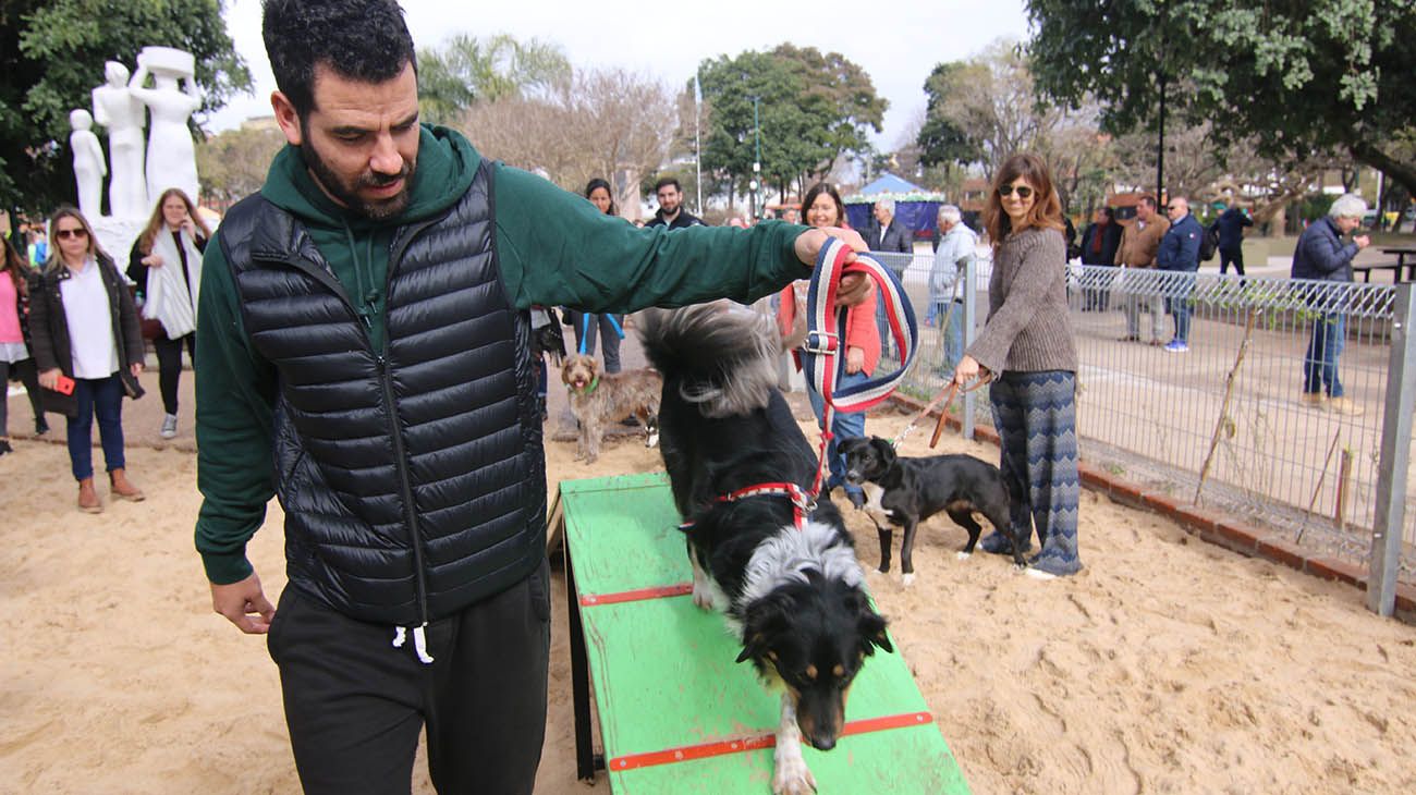 Nuevo canil en san isidro